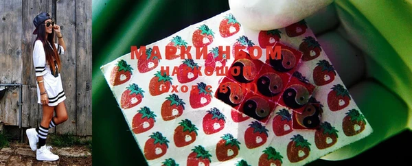 стафф Аркадак
